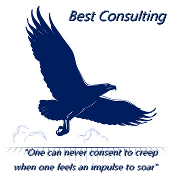 BEST Accessibility Consulting